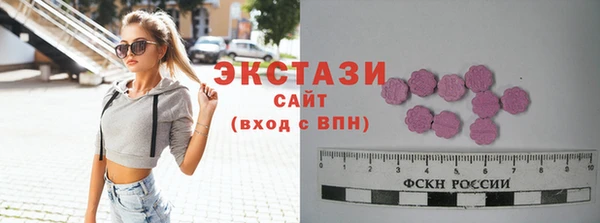 apvp Ельня