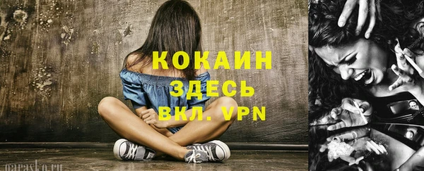 соль ск Дмитров