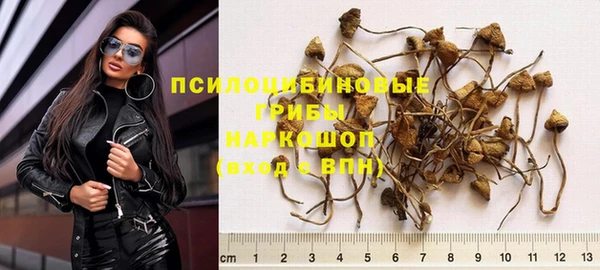 соль ск Дмитров